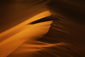 Desert  Ayla Hashemi