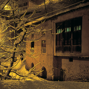 Masoulele, tree, snow  Saeid  Mahmoudi Aznaveh