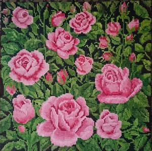 Rose garden  Parvin  Fattahizadeh 