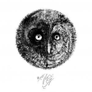 Owl Land 08  Soheil Hosseini