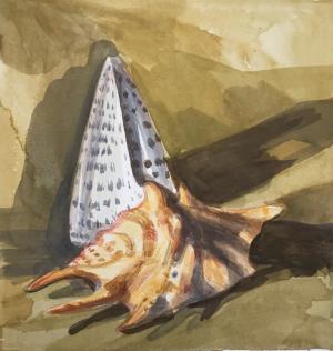 صدف و گوش ماهی از شقایق ترابی