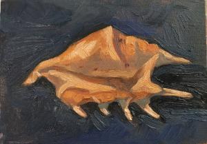 موجود دریایی-یک از شقایق ترابی