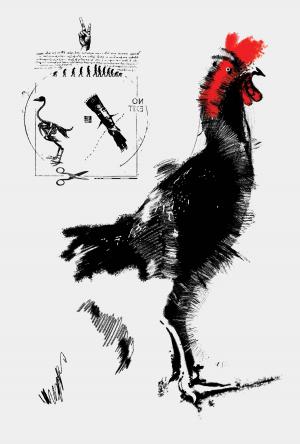  The Rooster 7  Soheil Hosseini