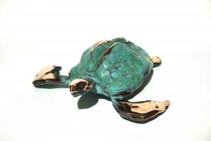 turtle  Amin Aghaei