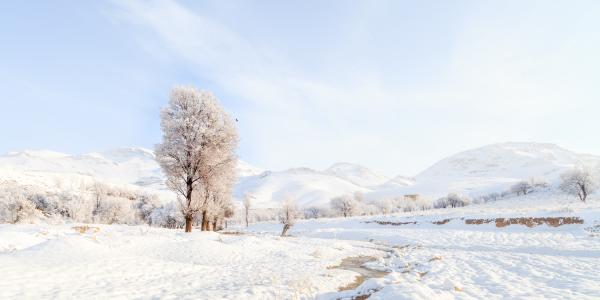  آثار هنری مهدی ارسطویی