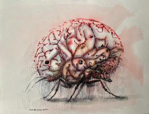 the brain 13  navid bijani