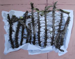 Euphorbia milii  katayoun tehrani